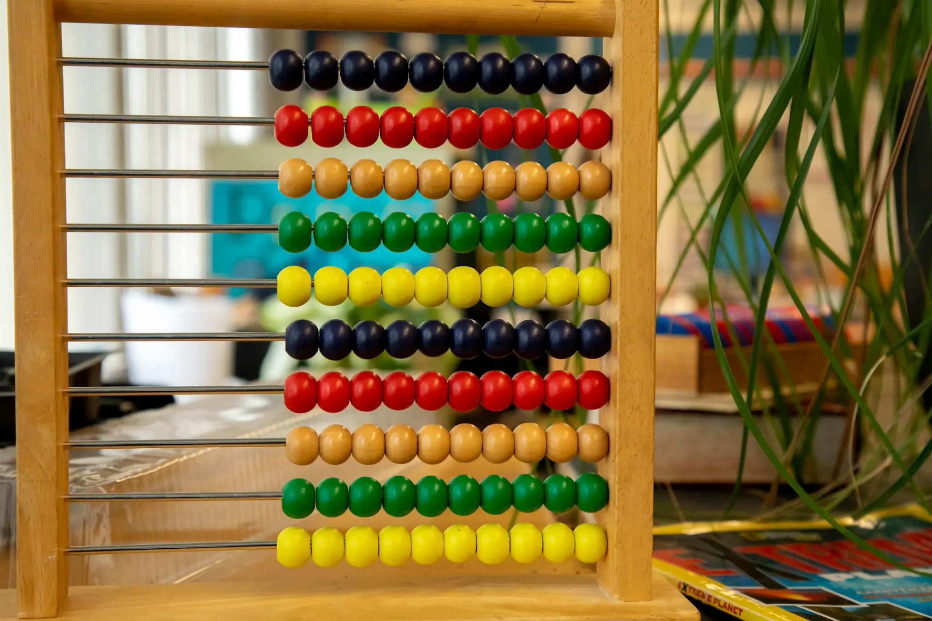 Holzabakus auf einem Tisch neben einer Pflanze